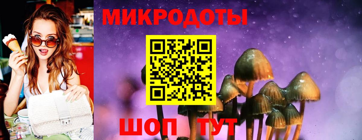 Галлюциногенные грибы Psilocybine cubensis  Вход с VPN  Лангепас 